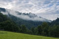 Morning fog in the mountains against the background of ancient snout forest Royalty Free Stock Photo