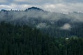 Morning fog in the mountains against the background of ancient snout forest Royalty Free Stock Photo