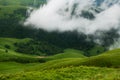 Morning fog in the mountains at sunrise. Clouds over the hills with fresh green grass Royalty Free Stock Photo