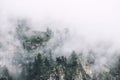 Morning fog in the mountains at sunrise. Clouds over the rocks and trees Royalty Free Stock Photo