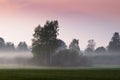 Morning fog on open field Royalty Free Stock Photo