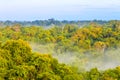 Morning fog over the brazilian rainforest in Brazil Royalty Free Stock Photo