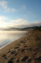 Morning fog over the Chivyrkuisky Bay. Sandy beach with plants of Isatis oblongata in a Snake Bay (Zmeyevaya Bay) Royalty Free Stock Photo