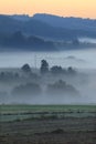 Morning fog over fields and meadows of Podkarpacie region in Poland