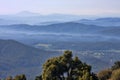 Morning fog over hilly landscape, Western Australia Royalty Free Stock Photo