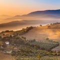 Morning Fog over Tuscany Landscape, Italy Royalty Free Stock Photo