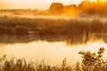 Morning fog on lake in the rays of the rising sun Royalty Free Stock Photo