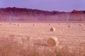 Morning Fog settles over hayfield in the bright morning sun Royalty Free Stock Photo