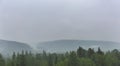 Morning fog in siberian forest. Rain taiga landscape.