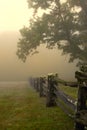 Morning fog on split rail fence Royalty Free Stock Photo