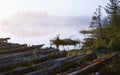 Morning Fog On A Swampy Forest Lake Royalty Free Stock Photo