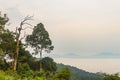 Morning fog and tree top in rainforest, KaengKraChan National pa Royalty Free Stock Photo