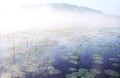 Morning fog on wild forest lake in Karelia