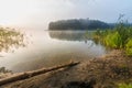 Morning foggy lake Royalty Free Stock Photo