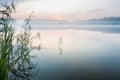 Morning foggy lake Royalty Free Stock Photo