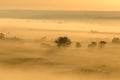 Morning foggy valley at sunrise, yellow calm autumn landscape