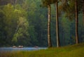 Morning in forest with camping in the mist Pangung Mae Hong Son Royalty Free Stock Photo