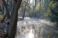 Morning in forest - fog on a river Royalty Free Stock Photo