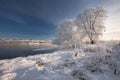 Morning Frosty Winter Landscape With Dazzling White Snow And Hoarfrost, River And A Saturated Blue Sky.Winter Small River On A Sun Royalty Free Stock Photo