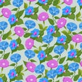 Morning glory Flower seamless pattern. Flat vector clipart, illustration Royalty Free Stock Photo