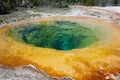 Morning Glory hot spring in Yellowstone National Park