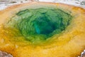 Morning Glory hot spring in Yellowstone National Park