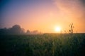 Morning Glory: Majestic Summer Fields Bathed in Sunrise Light Royalty Free Stock Photo