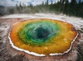 Morning Glory Pool, hot spring in the Upper Geyser Basin of Yellowstone National Park, Wyoming, USA. Royalty Free Stock Photo
