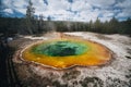 Morning Glory Pool, hot spring in the Upper Geyser Basin of Yellowstone National Park, Wyoming, USA. Royalty Free Stock Photo