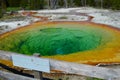 Morning Glory Pool hot spring in the Yellowstone Upper Geyser Basin of the United States Royalty Free Stock Photo