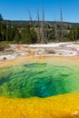 Morning Glory Pool at Upper Geyser Basin Royalty Free Stock Photo