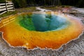 Morning Glory Pool in the Upper Geyser Basin in Yellowstone National Park, Wyoming Royalty Free Stock Photo