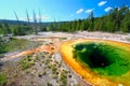Morning Glory Pool of Yellowstone Royalty Free Stock Photo