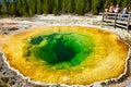 Morning Glory Pool at the Yellowstone National Park