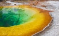 Morning Glory Pool in Yellowstone National Park