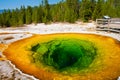 Morning Glory Pool in Yellowstone National Park