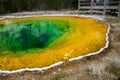 Morning glory pool, Yellowstone Royalty Free Stock Photo