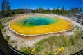 Morning Glory Pool in Yellowstone National Park of Wyoming Royalty Free Stock Photo