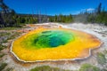 Morning Glory Pool in Yellowstone National Park of Wyoming Royalty Free Stock Photo