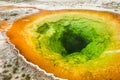 Morning glory pool in Yellowstone in the USA Royalty Free Stock Photo