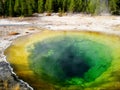 Morning glory pool (Yellowstone, USA) Royalty Free Stock Photo