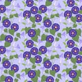 Morning glory seamless pattern.