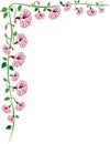 Morning Glory Vine Border, Pink