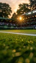 Morning glow on tennis court close up of freshly mown grass at tennis club tournament Royalty Free Stock Photo