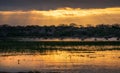 Morning Golden hour landscape in Bundala National Park, sun rays peek through clouds, and golden light reflects on the lagoon Royalty Free Stock Photo