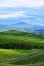 Morning golden Tuscany hills. Italy