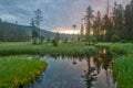 Morning at Great Arber Lake