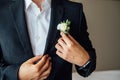 Morning groom, Groom in a jacket, The groom straightens the buttonhole, wedding day Royalty Free Stock Photo