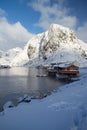 Morning in Hamnoya at the Lofoten, Norway