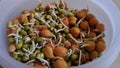 Morning healthy eat sprouts and beans